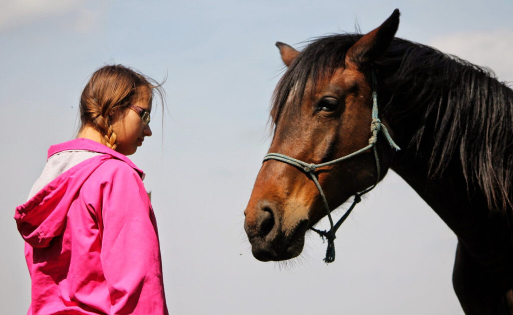 Horse assisted – jedna z najskuteczniejszych metod rozwojowych i terapeutycznych, jakie istnieją